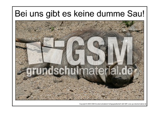 Dumme-Sau-1.pdf